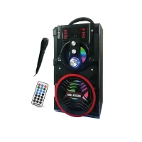 Bluetooth-колонка з радіо та функцією караоке