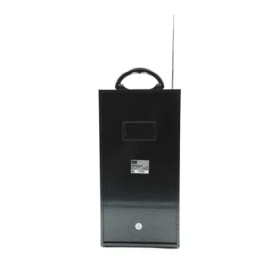 Bluetooth-колонка з радіо та функцією караоке
