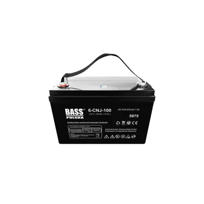 Акумулятор AGM VRLA 100 А·год Bass Polska 5975