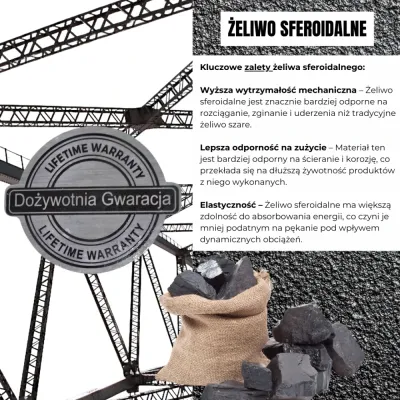 Лещата з високоміцного чавуну з поворотною основою 250 мм Bass Polska 9280